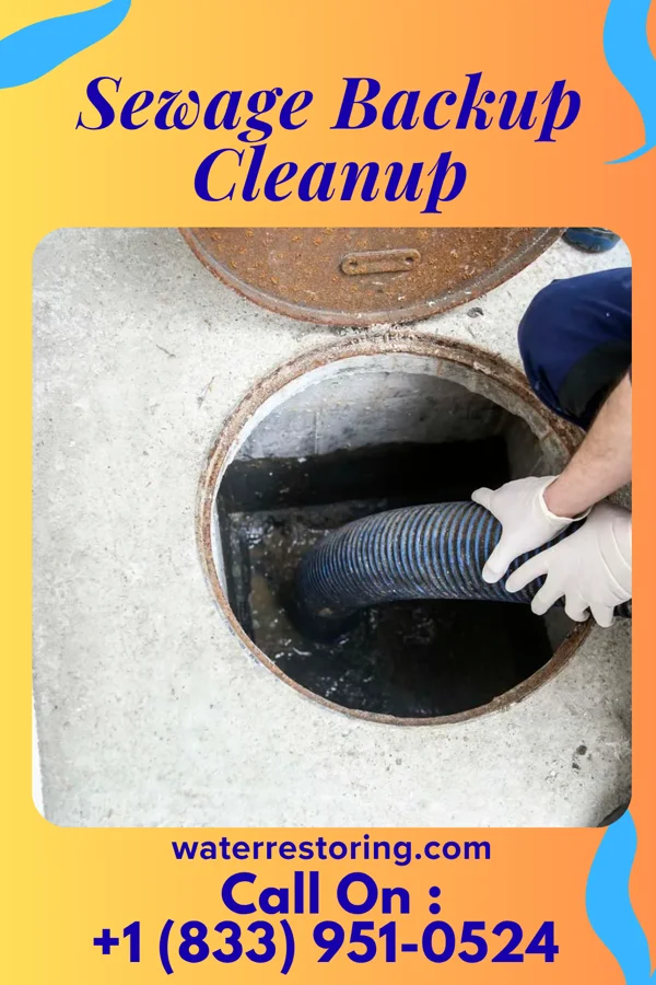 Sewage Backup Cleanup in Benns Church, VA