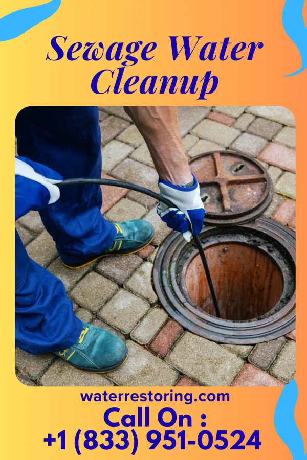 Sewage Water Cleanup in Benns Church, VA