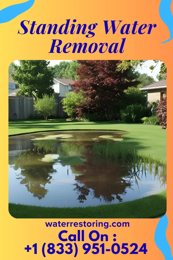 Standing Water Removal in Benns Church, VA